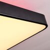 Batamoto Deckenpanel LED Schwarz, Weiß, 2-flammig, Fernbedienung, Farbwechsler