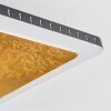 Guacacallo Deckenpanel LED Gold, Schwarz, Weiß, 1-flammig