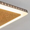 Guacacallo Deckenpanel LED Gold, Schwarz, Weiß, 1-flammig