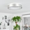 Playas Deckenleuchte LED Silber, Weiß, 1-flammig