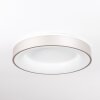 Playas Deckenleuchte LED Silber, Weiß, 1-flammig