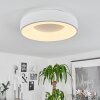 Playas Deckenleuchte LED Weiß, 1-flammig