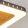 Guacacallo Deckenpanel LED Gold, Schwarz, Weiß, 1-flammig