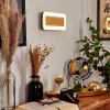 Guacacallo Wandleuchte LED Gold, Schwarz, Weiß, 1-flammig