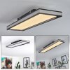 Nabbas Deckenpanel LED Schwarz, Weiß, 1-flammig