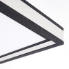 Nabbas Deckenpanel LED Schwarz, Weiß, 1-flammig