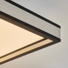 Nabbas Deckenpanel LED Schwarz, Weiß, 1-flammig