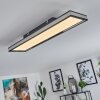 Nabbas Deckenpanel LED Schwarz, Weiß, 1-flammig