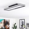 Nabbas Deckenpanel LED Schwarz, Weiß, 1-flammig
