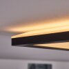 Boyero Deckenpanel LED Schwarz, Weiß, 1-flammig