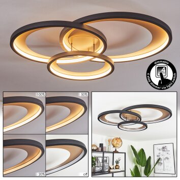 Baiyin Deckenleuchte LED Gold, 1-flammig