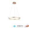 Paul Neuhaus TITUS Pendelleuchte LED Messing, 1-flammig