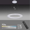 Paul Neuhaus PURE-COSMO Pendelleuchte LED Aluminium, 17-flammig, Fernbedienung