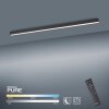 Paul Neuhaus PURE-LINES Deckenleuchte LED Anthrazit, 1-flammig, Fernbedienung