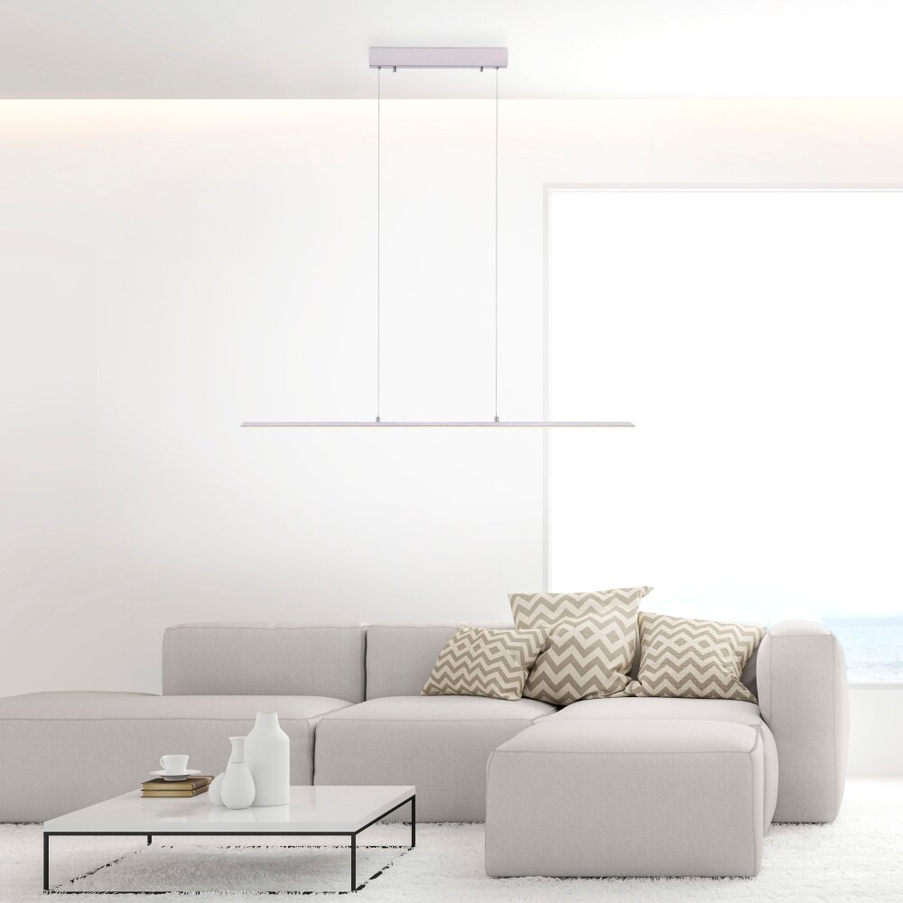 Paul Neuhaus PURE-LITE Pendelleuchte LED Edelstahl, 1-flammig main product photo