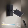 Paul Neuhaus PURE-MIRA Wandleuchte LED Schwarz, 2-flammig, Fernbedienung