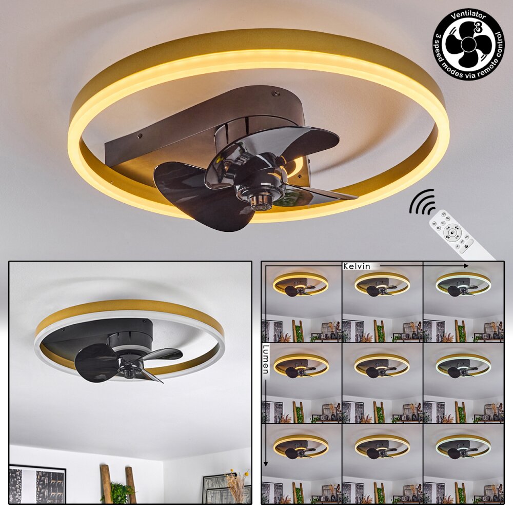 Oleiro Deckenventilator LED Gold, Schwarz, Weiß, 1-flammig, Fernbedienung main product photo