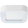 Brillliant Whittaker Außendeckenleuchte LED Weiß, 1-flammig