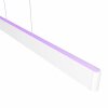 Philips Hue White & Colour Ambiance Ensis Pendelleuchte LED Weiß, 2-flammig, Farbwechsler