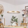 Charata  Pendelleuchte LED Messing, 1-flammig