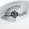 Tirkkala Deckenventilator LED, 1-flammig