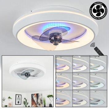 Tirkkala Deckenventilator LED, 1-flammig