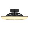 Globo LAFEE Deckenventilator LED Schwarz, 1-flammig
