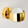 Sapri Wandleuchte Gold, 1-flammig