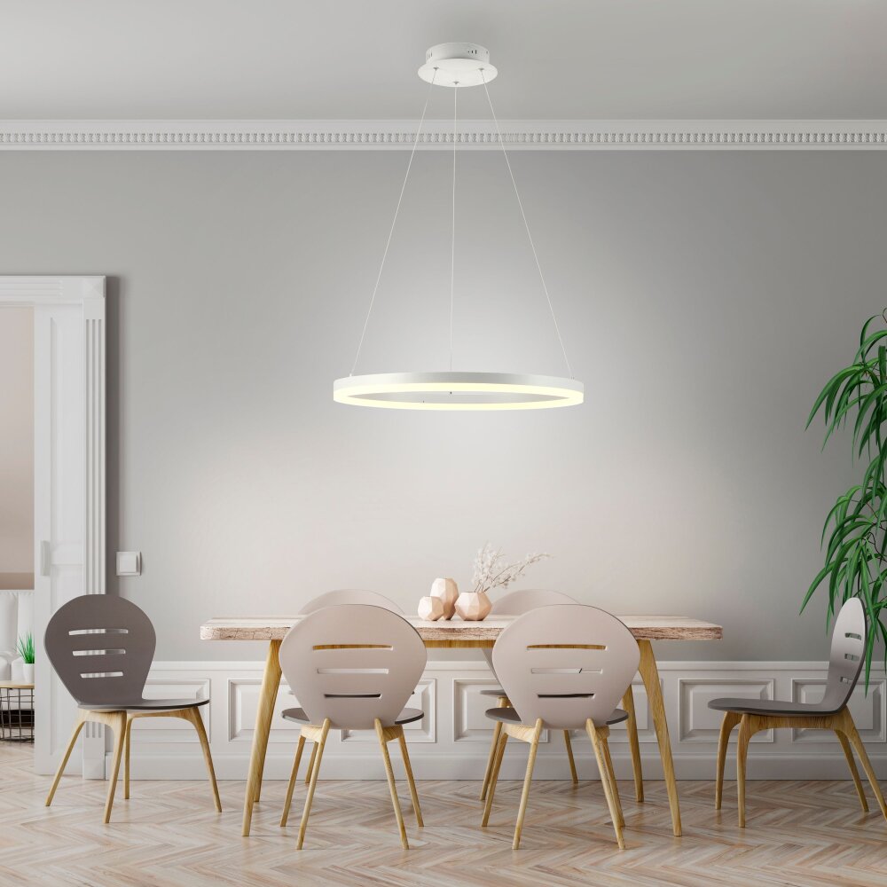 Paul Neuhaus TITUS Pendelleuchte LED Weiß, 1-flammig main product photo