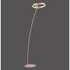 Paul Neuhaus TITUS Stehleuchte LED Messing, 1-flammig