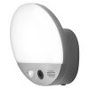 LEDVANCE Smart+ Außenwandleuchte Grau, 1-flammig, Bewegungsmelder