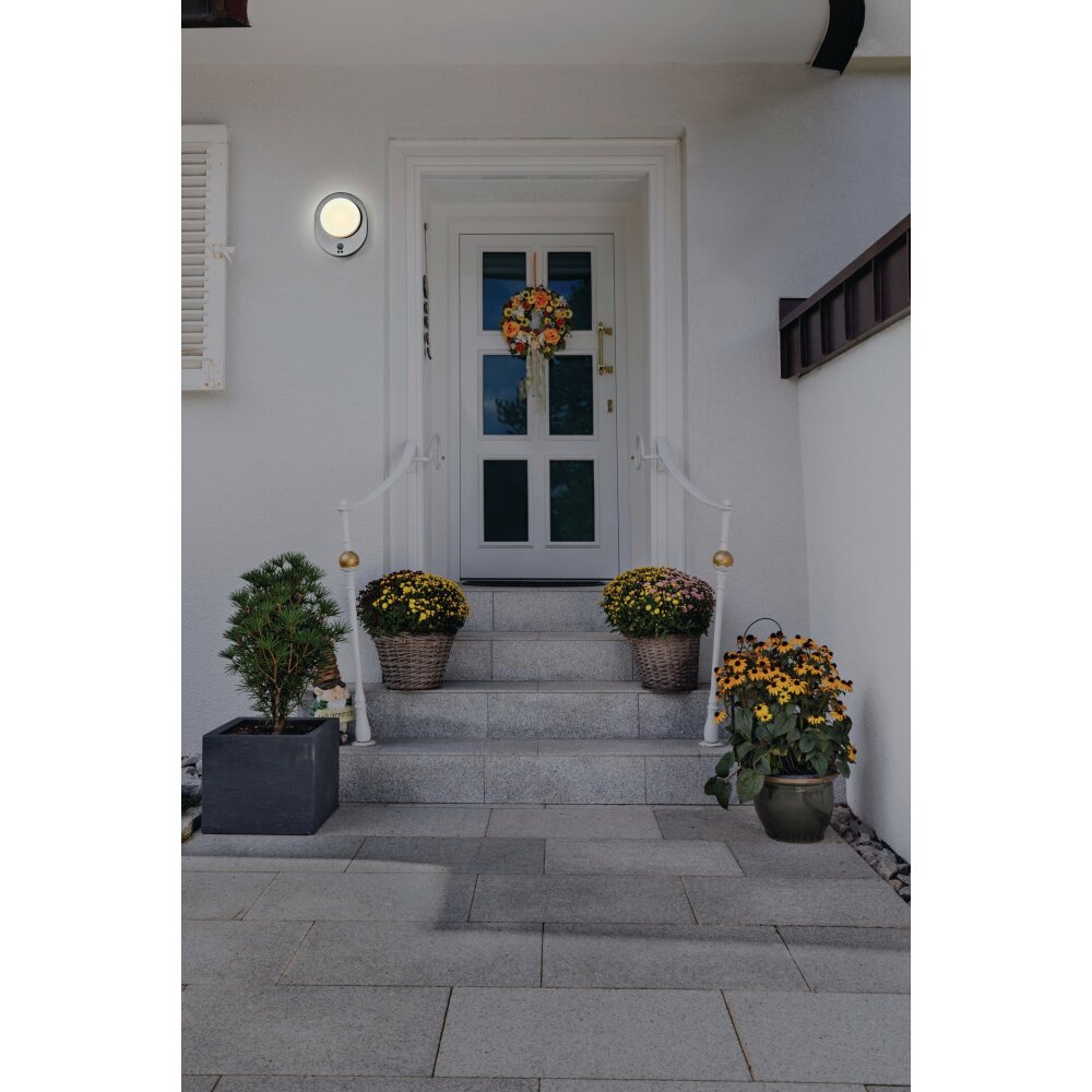 LEDVANCE ENDURA Außenwandleuchte Stahl gebürstet, 1-flammig, Bewegungsmelder main product photo