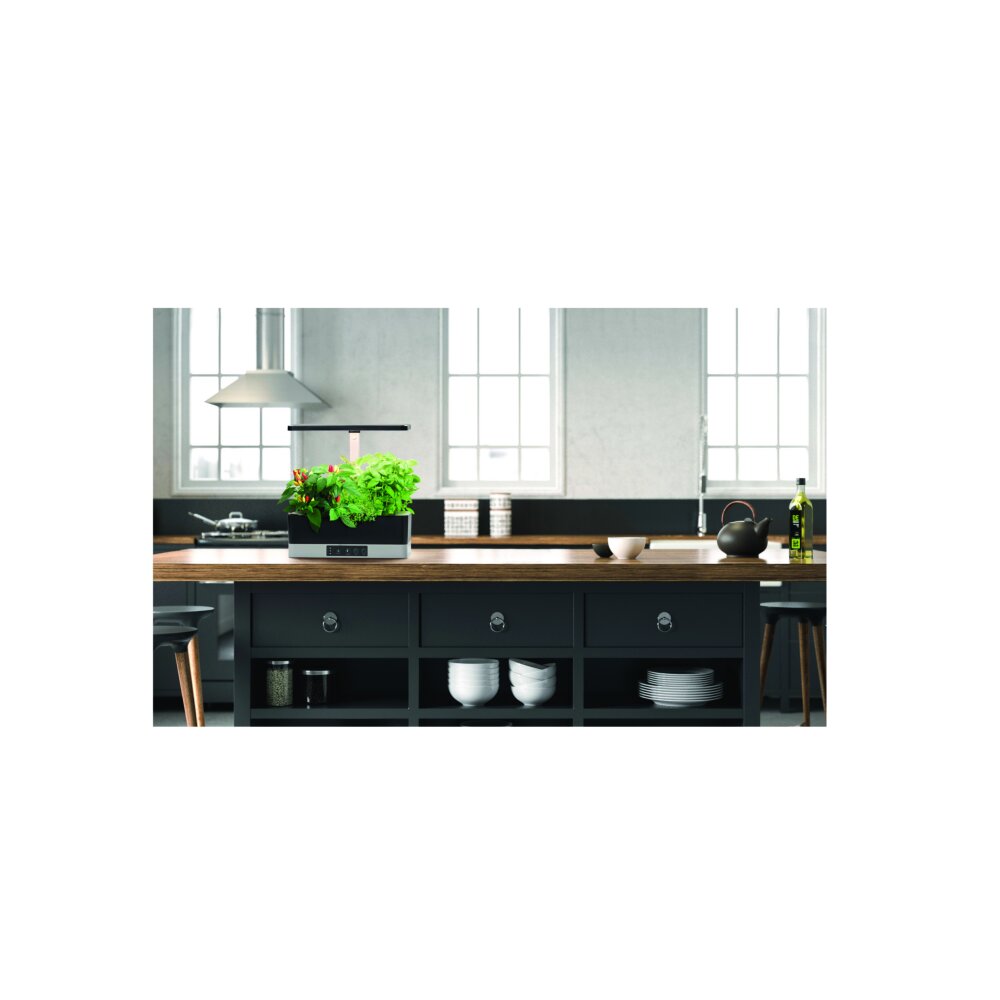 LEDVANCE Indoor Garden Tischleuchte Schwarz, 1-flammig main product photo