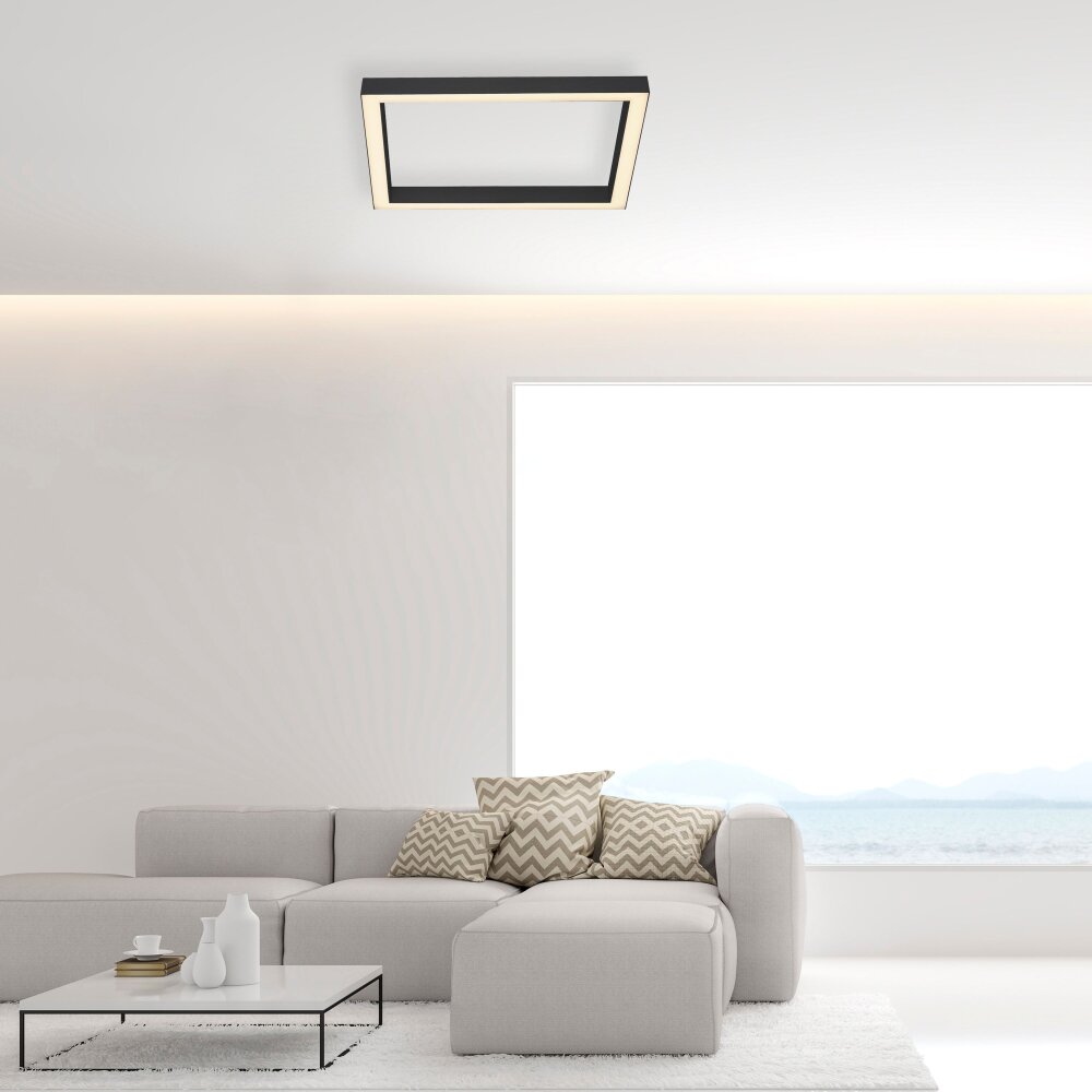 Paul Neuhaus PURE-LINES Deckenleuchte LED Anthrazit, 1-flammig, Fernbedienung main product photo
