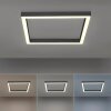 Paul Neuhaus PURE-LINES Deckenleuchte LED Anthrazit, 1-flammig, Fernbedienung