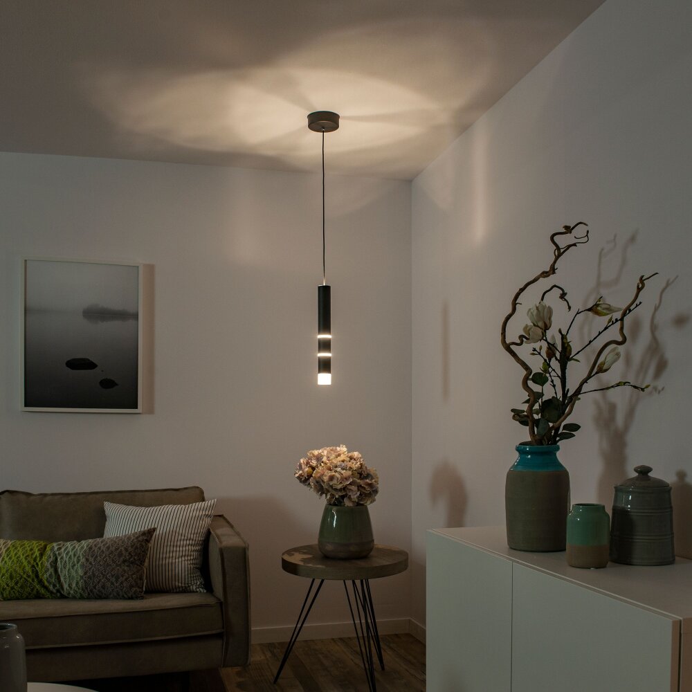 Paul Neuhaus PURE-VEGA Pendelleuchte LED Schwarz, 3-flammig main product photo