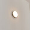 Centinela Außenwandleuchte LED Anthrazit, Weiß, 1-flammig