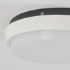 Centinela  Außendeckenleuchte LED Anthrazit, Weiß, 1-flammig