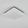 Gomero Außendeckenleuchte LED Anthrazit, Weiß, 1-flammig
