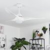 Malloa Deckenventilator LED Weiß, 1-flammig, Fernbedienung