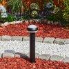 Vinara Sockelleuchte LED Schwarz, 1-flammig