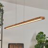 Guacacallo Pendelleuchte LED Schwarz, 1-flammig