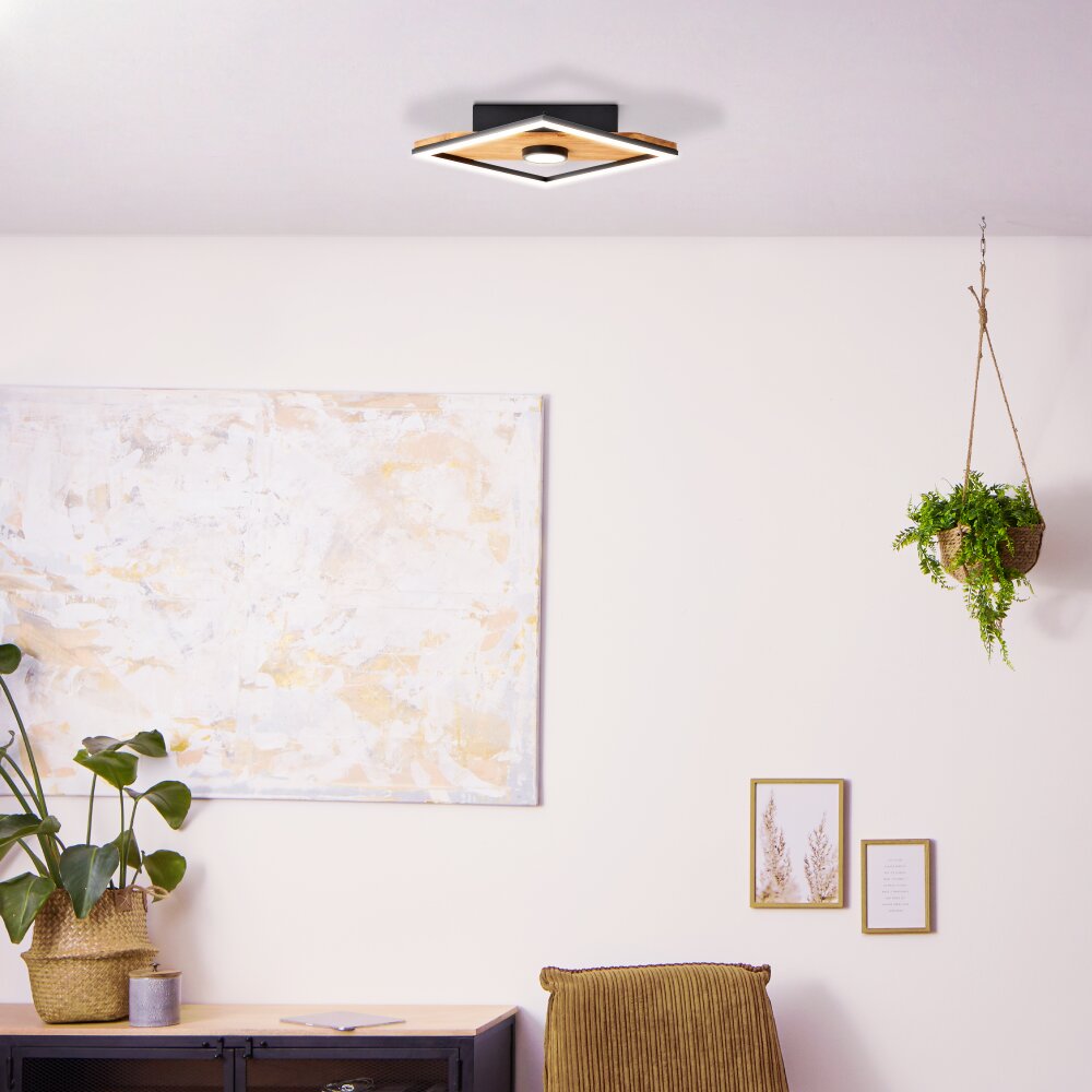 Brilliant Woodbridge Deckenleuchte LED Braun, Schwarz, 1-flammig main product photo
