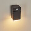 Toogong  Außenwandleuchte LED Anthrazit, 1-flammig, Bewegungsmelder
