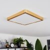 Finsrud Deckenpanel LED Gold, 1-flammig