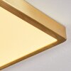 Finsrud Deckenpanel LED Gold, 1-flammig