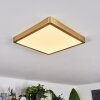 Finsrud Deckenpanel LED Gold, 1-flammig