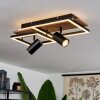 Sequeira    Deckenleuchte LED Holz hell, Holzoptik, Schwarz, 3-flammig