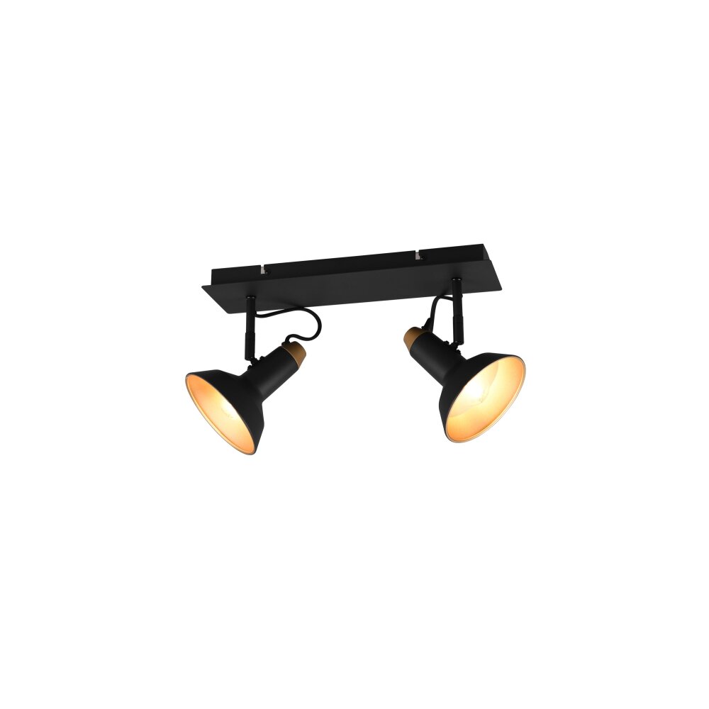 Trio Roxie Deckenleuchte Schwarz, 2-flammig main product photo