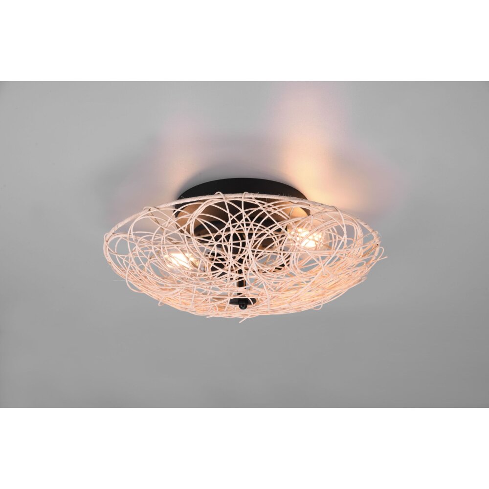 Reality Lovis Deckenleuchte Schwarz, 2-flammig main product photo
